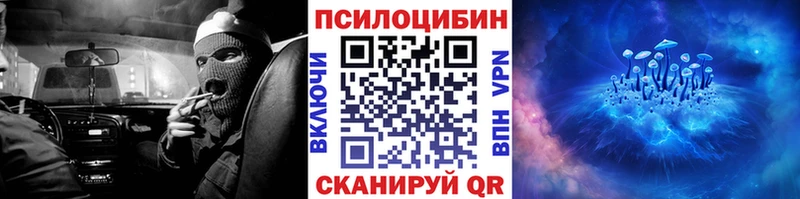 Купить где  Бородино  Псилоцибиновые грибы мицелий 