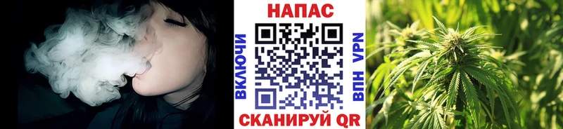 Шишки марихуана гибрид  Купить закладки  Бородино 